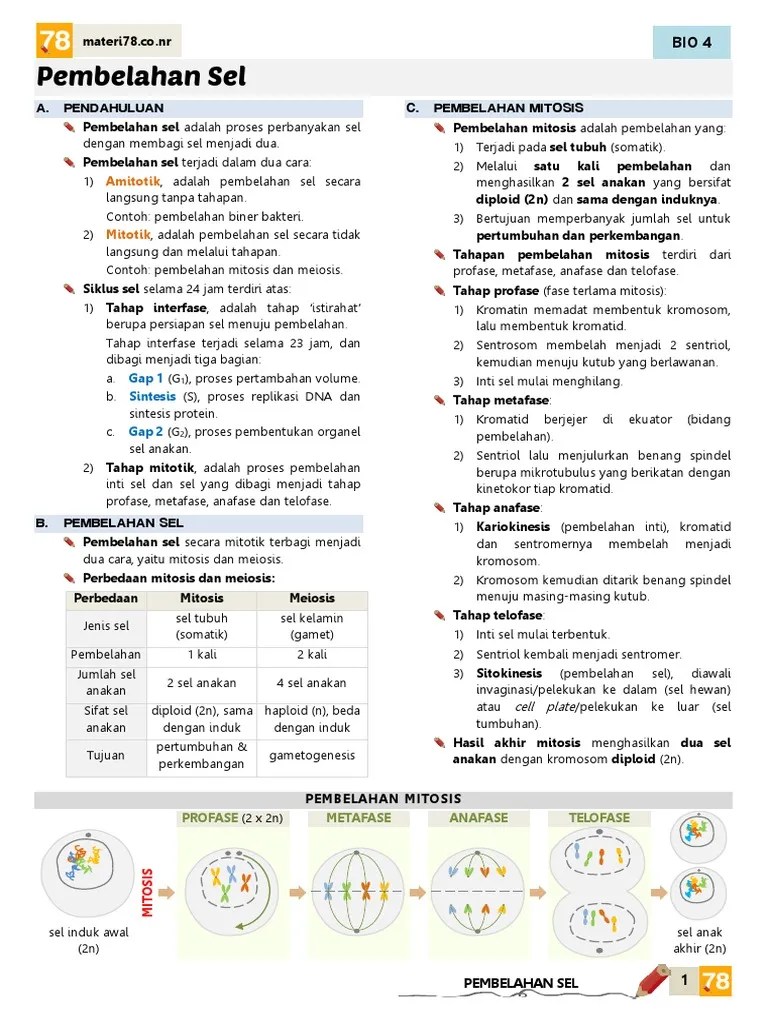 Materi 78 Biologi Sel