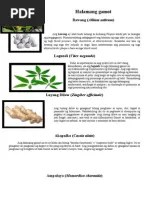 Halamang Gamot Sa Tagulabay : Mga Uri Ng Halamang Ornamental