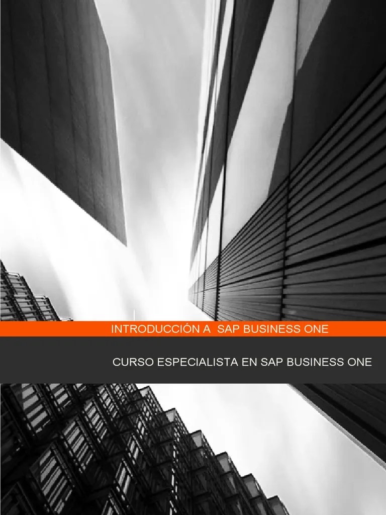 Modulo 0 - Introduccion Sap B1 | PDF | Planificación De Recursos ...