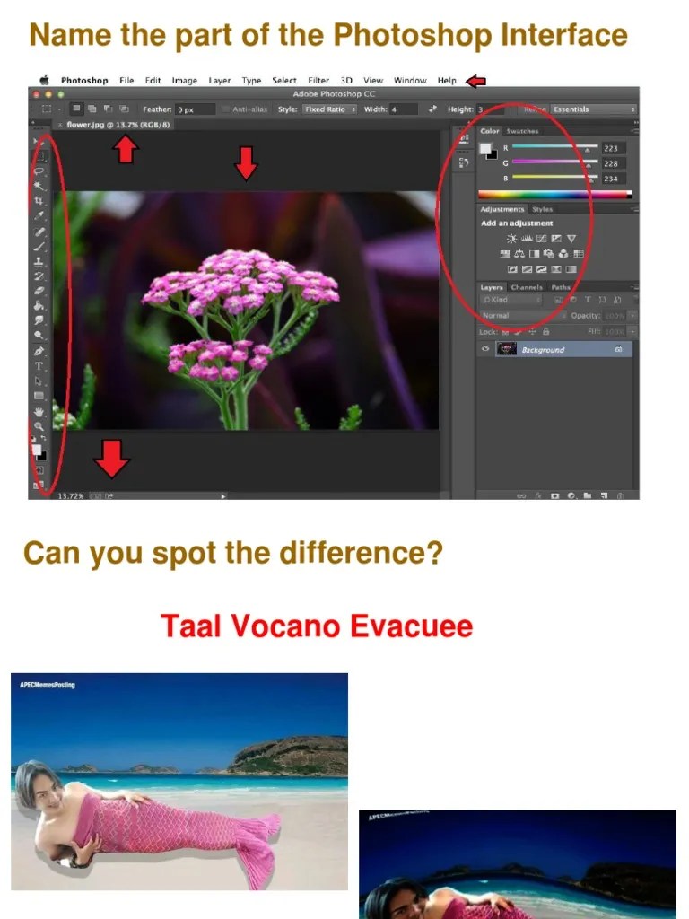 Presentation On Photoshop | PDF | Adobe Photoshop | File Format