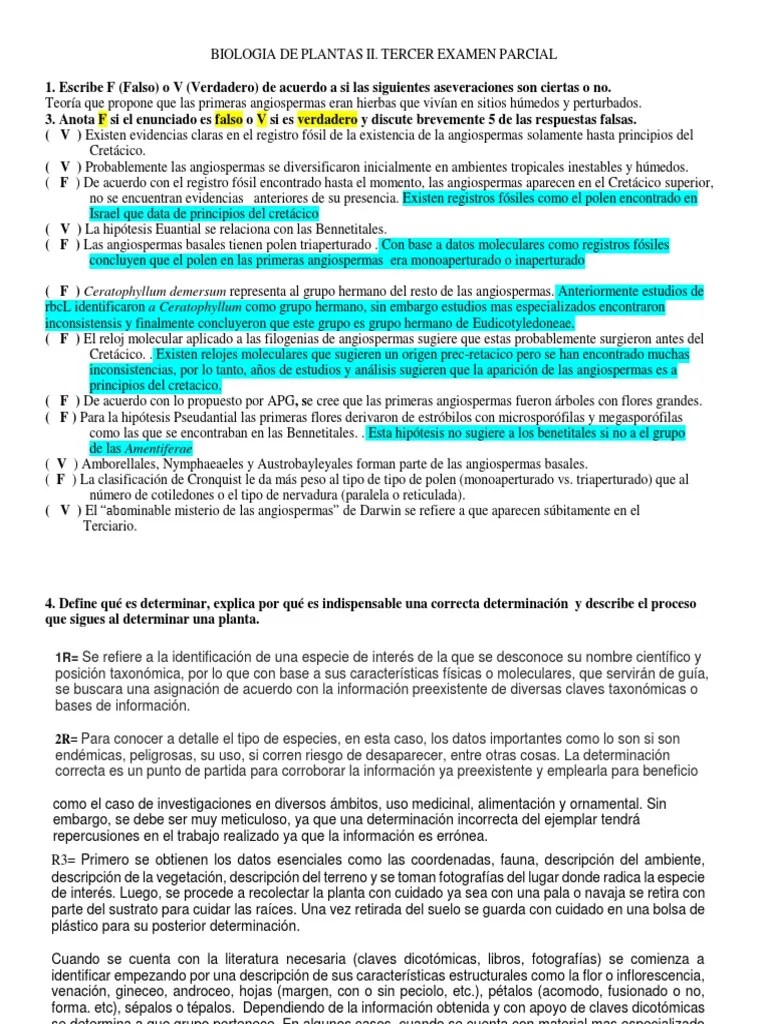 Biologia De Plantas | PDF | Flores | Morfología Vegetal