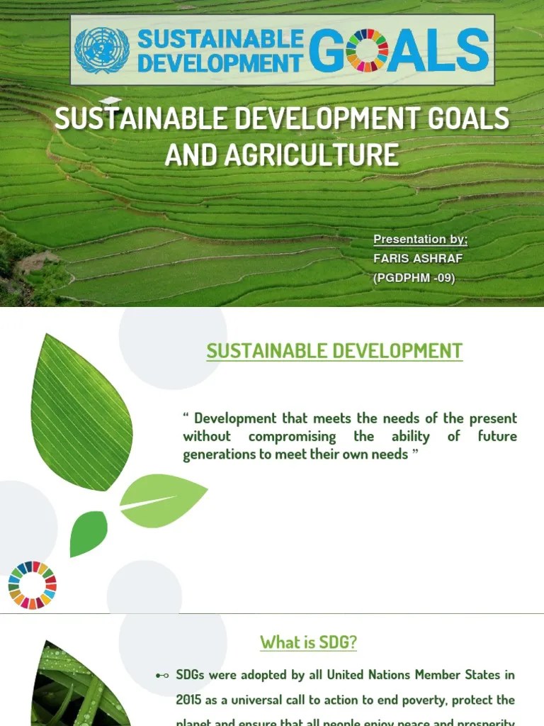 Sustainable Development Goals And Agriculture | PDF | Sustainability ...