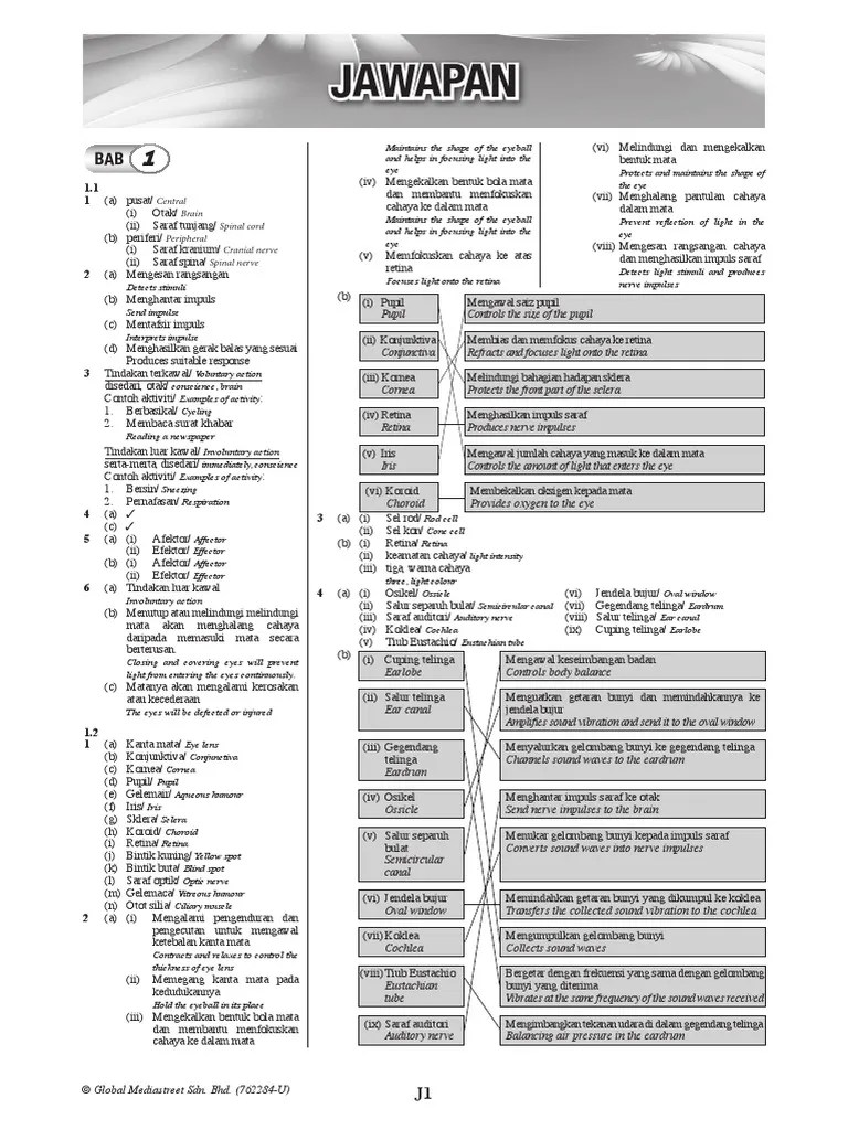 Jawapan buku teks fizik, jawapan buku teks sains tingkatan 1, jawapan buku. Ops A Sains Ting 3 Pdf Circulatory System Atrium Heart