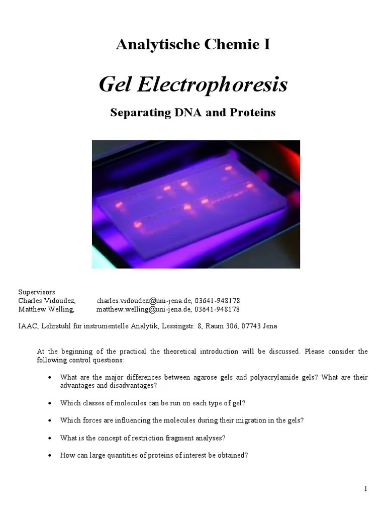 Gel Electrophoresis PDF | PDF | Gel Electrophoresis | Polyacrylamide Gel Electrophoresis