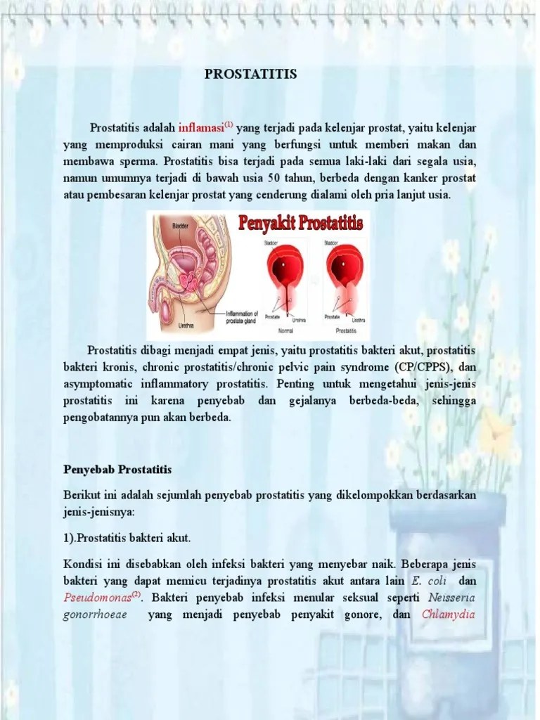 1) Brian Artikel PROSTATITIS | PDF