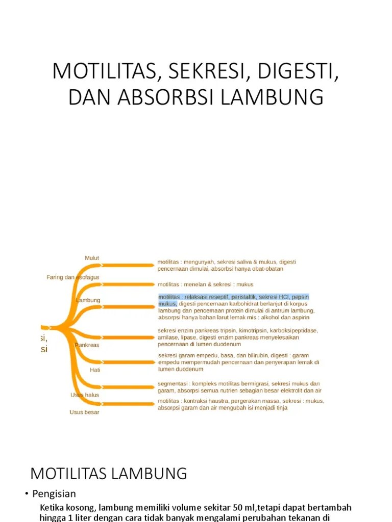 LAMBUNG | PDF