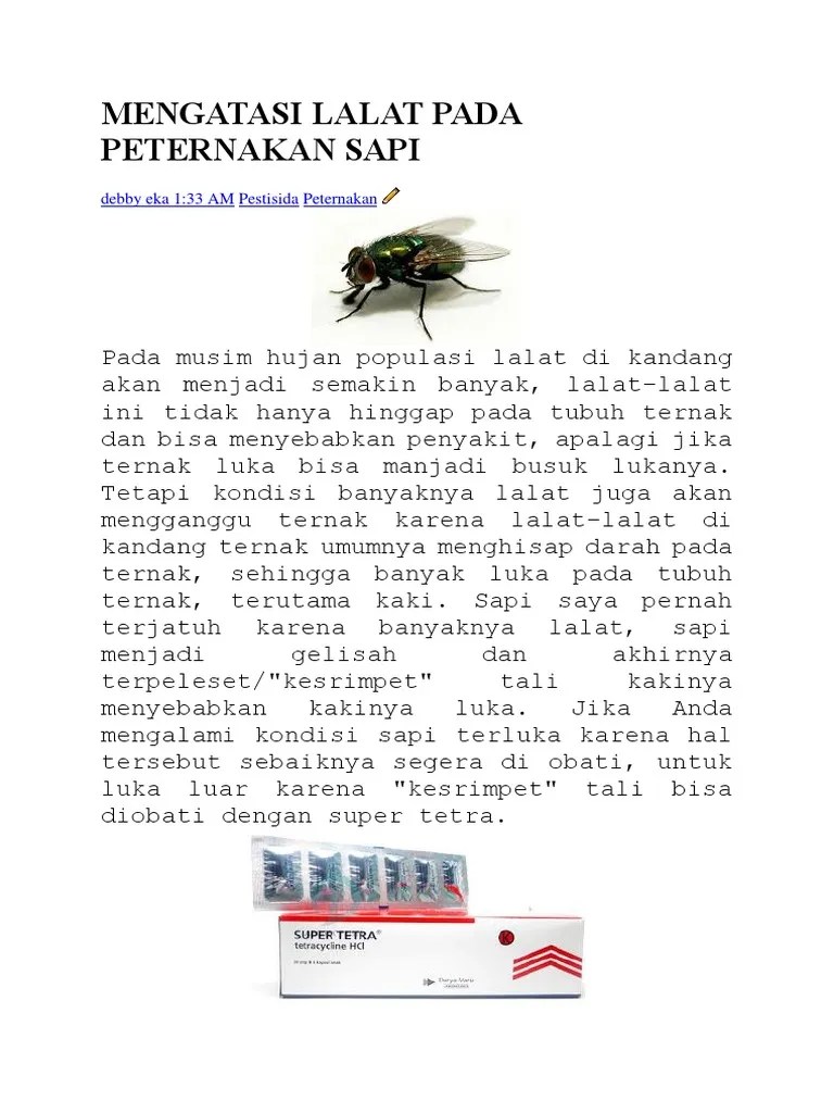Mengatasi Lalat Pada Peternakan Sapi | PDF