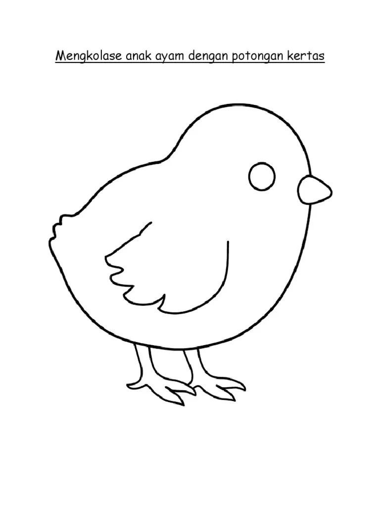 Gratis untuk komersial tidak perlu kredit bebas hak cipta. Gambar Anak Ayam Kartun Hitam Putih