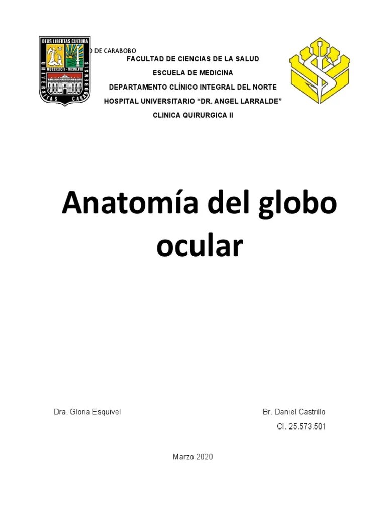 Anatomía De Globo Ocular Informe | PDF | Percepción Visual | Anatomía ...