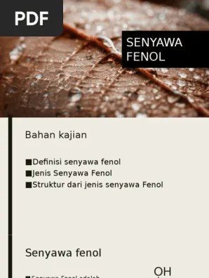 Senyawa Fenol | PDF