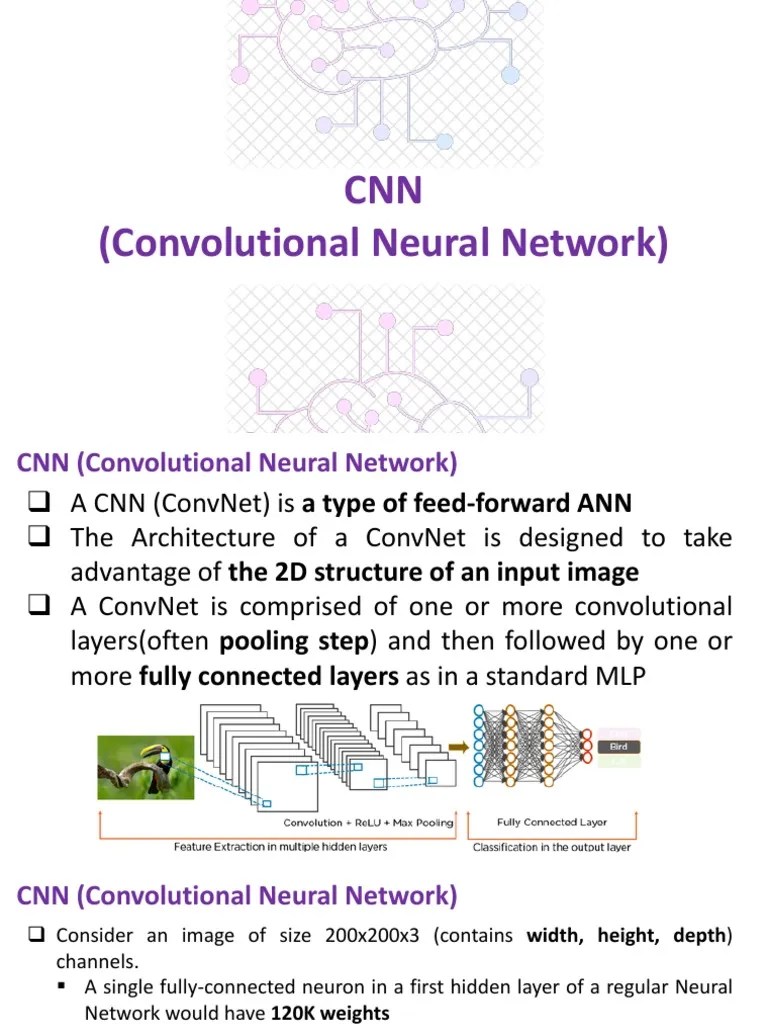 03 CNN | PDF | Algorithms | Machine Learning