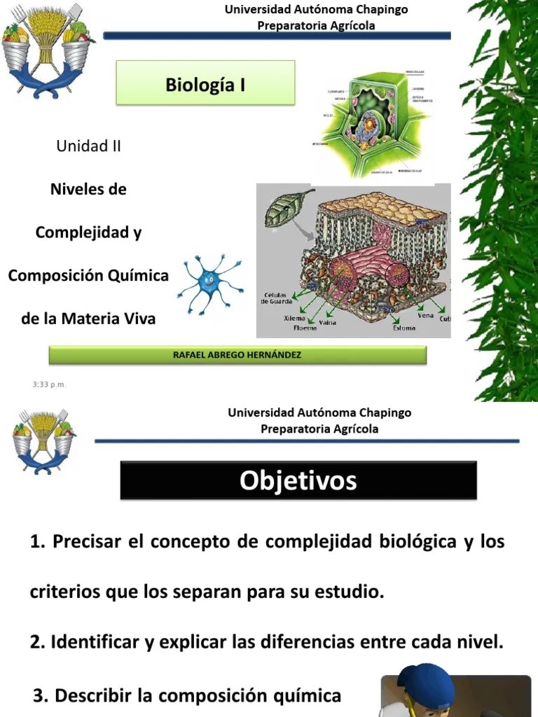 2.1 Niveles De Organización PDF | PDF | Biología Celular) | Plantas
