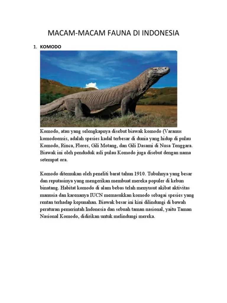 Geografi Flora Dan Fauna | PDF