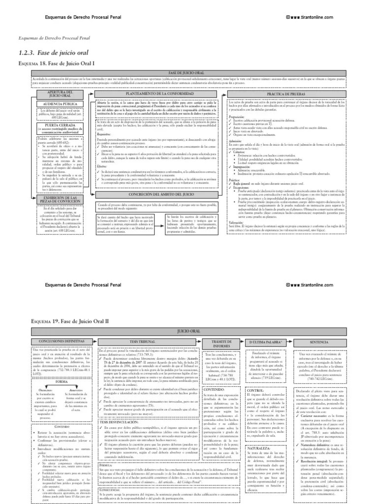 Esquema Juicio Oral | PDF | Sentencia (ley) | Evidencia (ley)