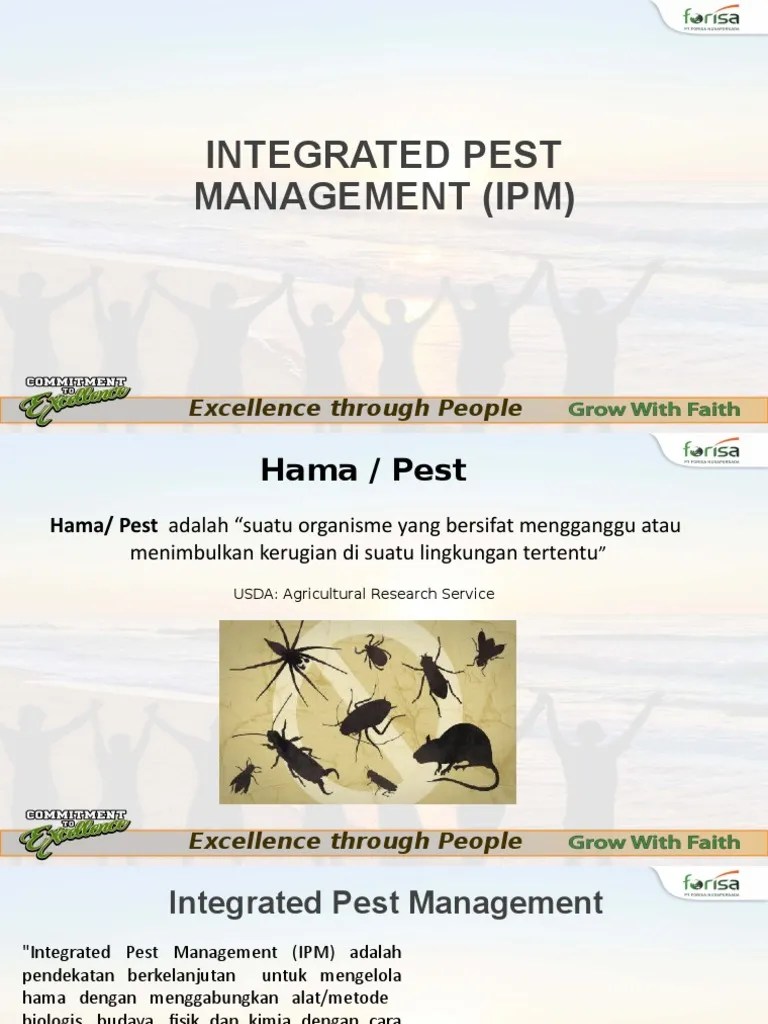Integrated Pest Management | PDF | Pest Control | Horticulture And Gardening