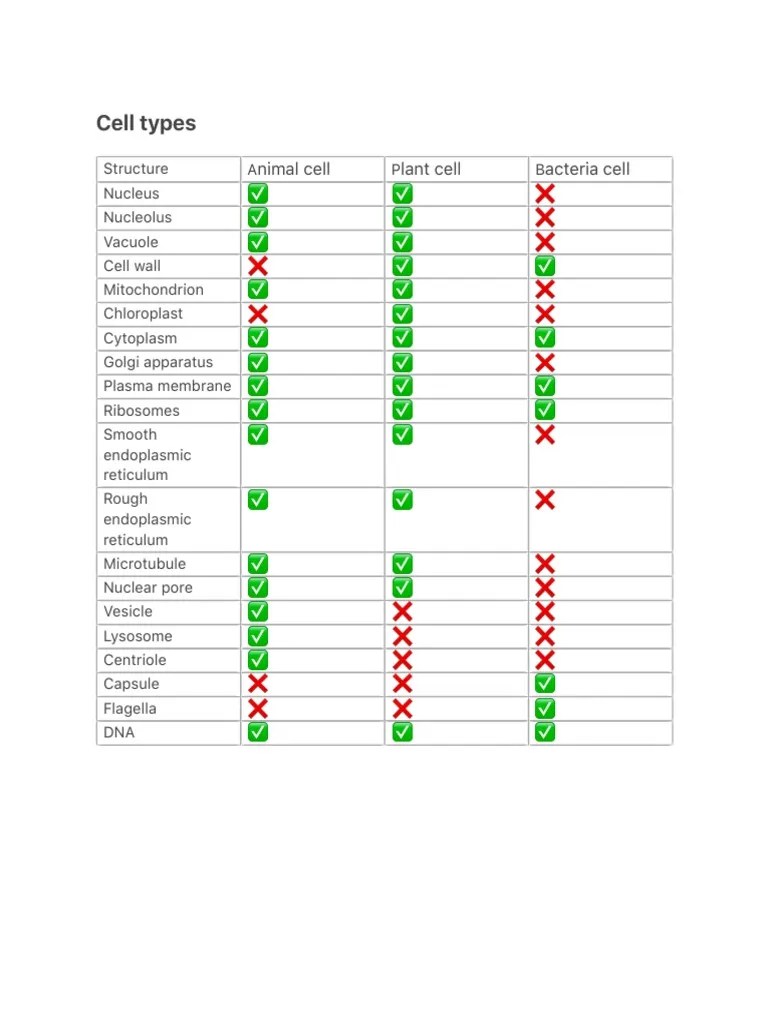 Cell Types: Nimal Cell Lant Cell Acteria Cell | PDF