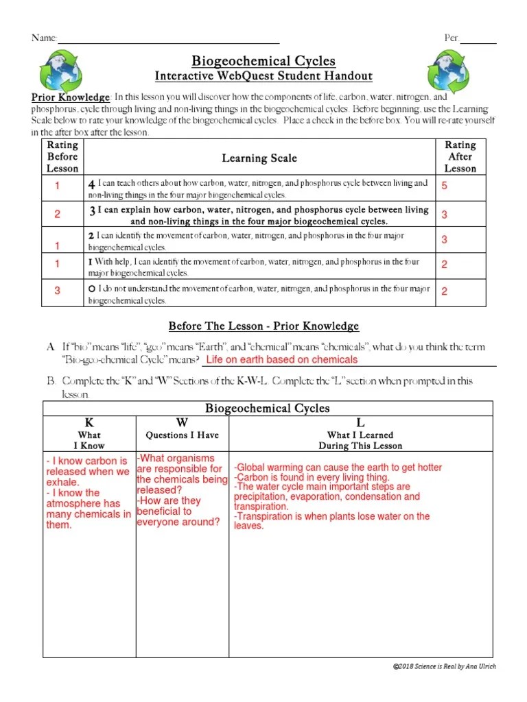 Html click and complete scene 1. Biogeochemical Cycles Test Answer Key