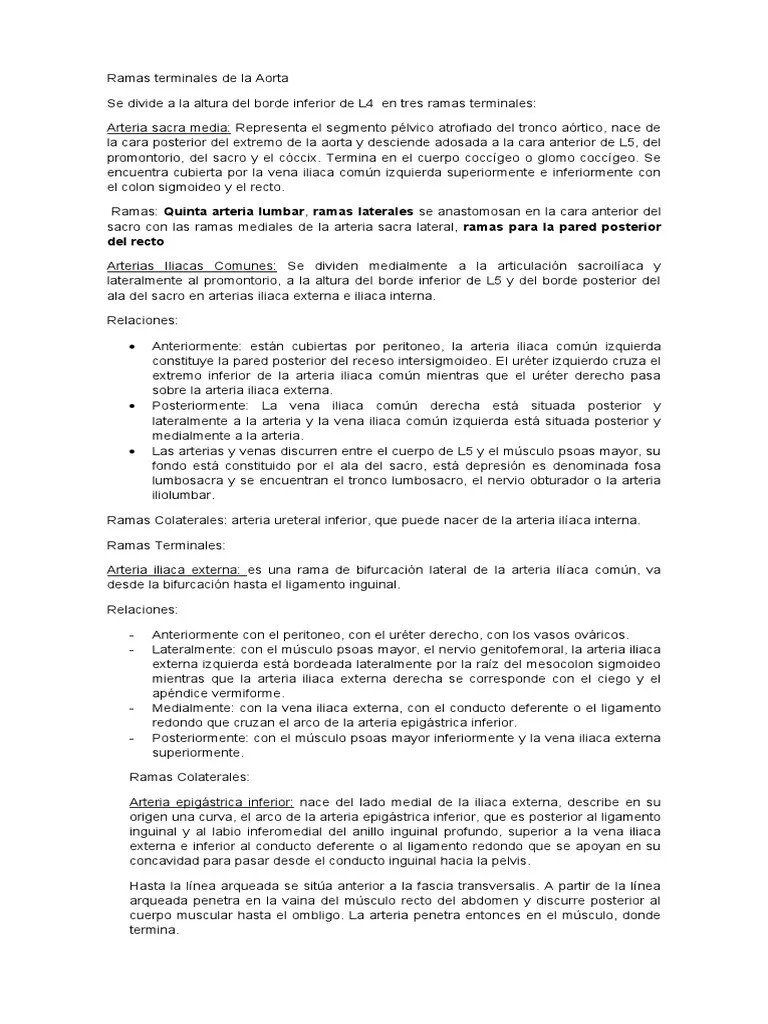 Resumen Vasos Y Nervios Abdomen Y Pelvis | PDF | Pelvis | Angiología