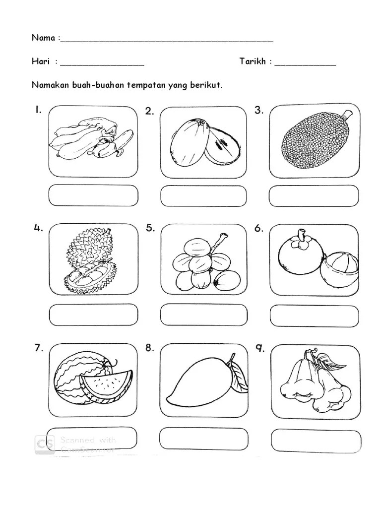 Latihan 1 · latihan 2 · latihan 3 · latihan 4. Lembaran Kerja Buah Tahun 1 Pdf