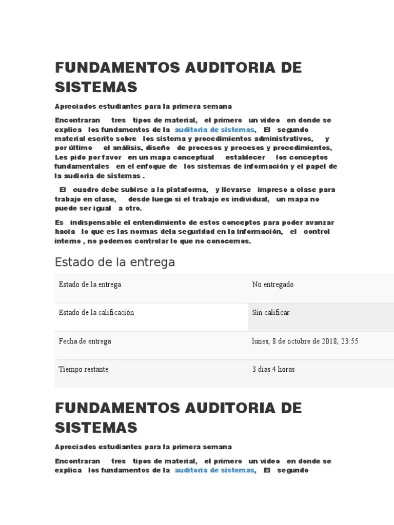 Fundamentos Auditoria De Sistemas | PDF | Información | Usuario (informática)