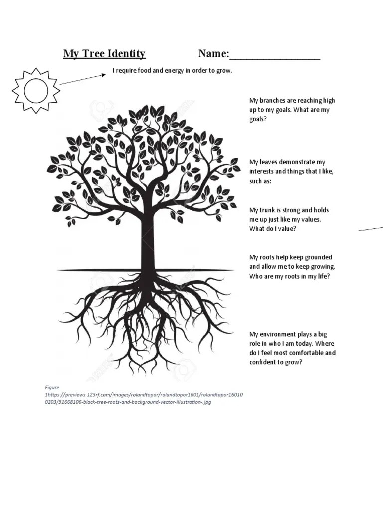 Yr 5 Lesson 10 My Tree Identity Graphic Organizer | PDF | Trees | Leaf