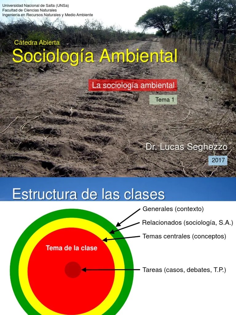 2017 Tema 1b - La Sociología Ambiental | PDF | Sociología | Max Weber