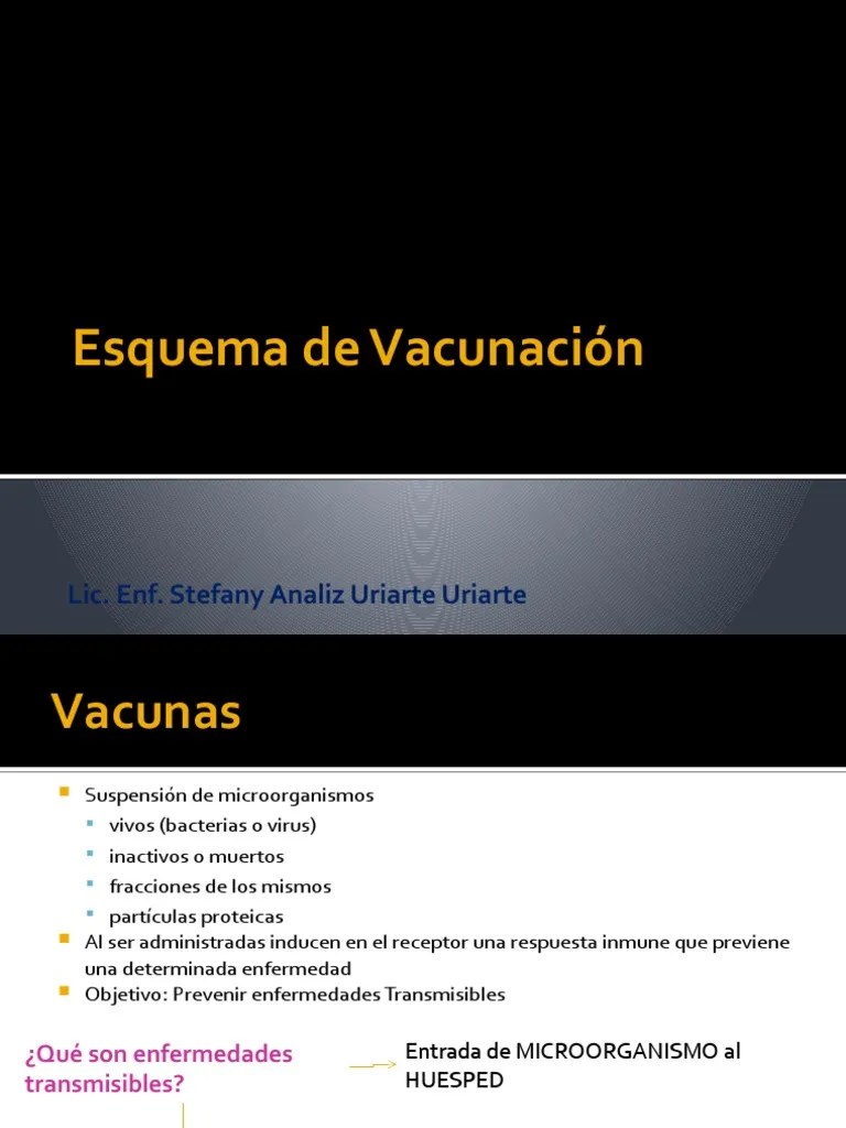 Esquema De Vacunacion | PDF | Vacunas | Sistema Inmune