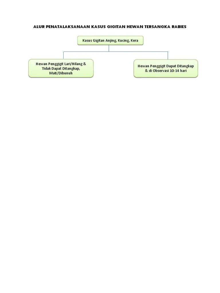 Alur Penatalaksanaan Rabies | PDF