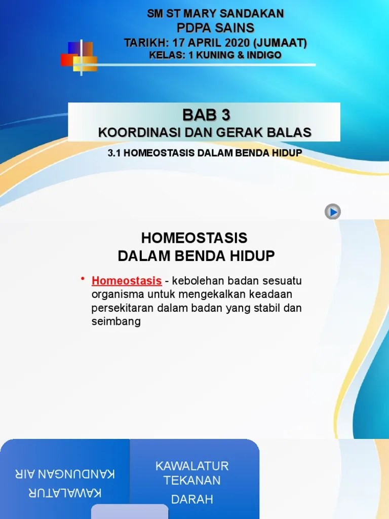 3.1 homeostasis dalam manusia 39 homeostasis in humans. Nota Sains Tingkatan 1 Kssm Bab 3 Homeostasis Proses Pembetulan Pdf