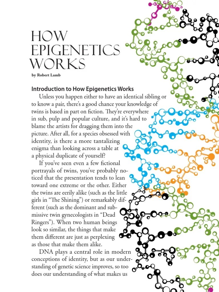 An Introduction To Epigenetics | Epigenetics | Heredity