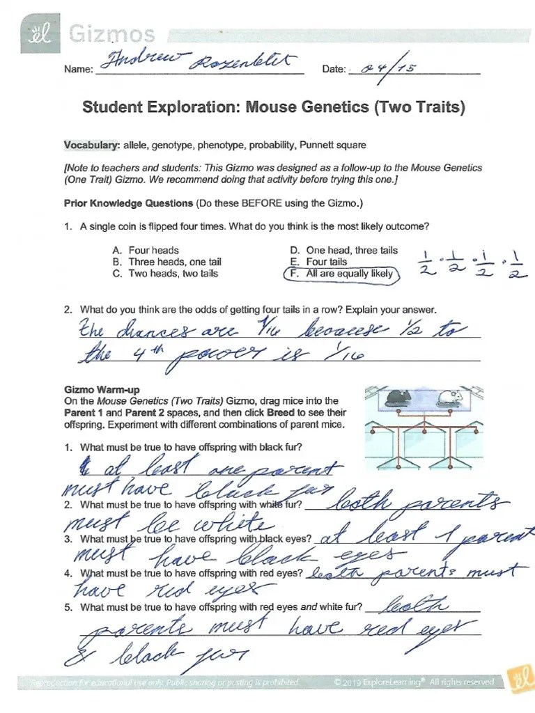 Read pdf mouse genetics two traits gizmo answer key several preferred authors. Mouse Trait Gizmo Pdf Pdf