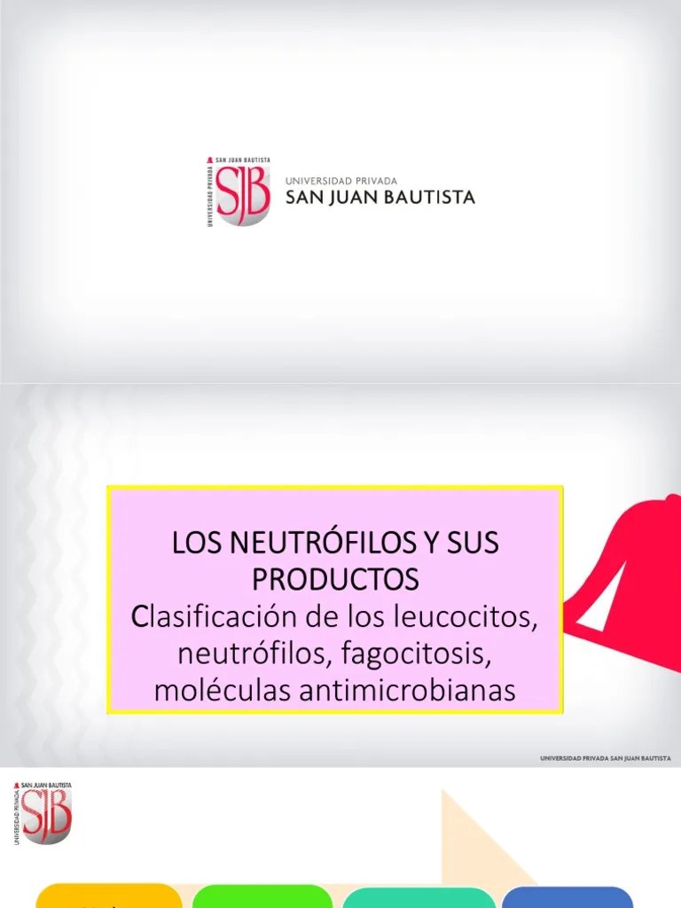 Clase 4 Los Neutrófilos Y Sus Productos | PDF | Leucocito | Sistema Inmune