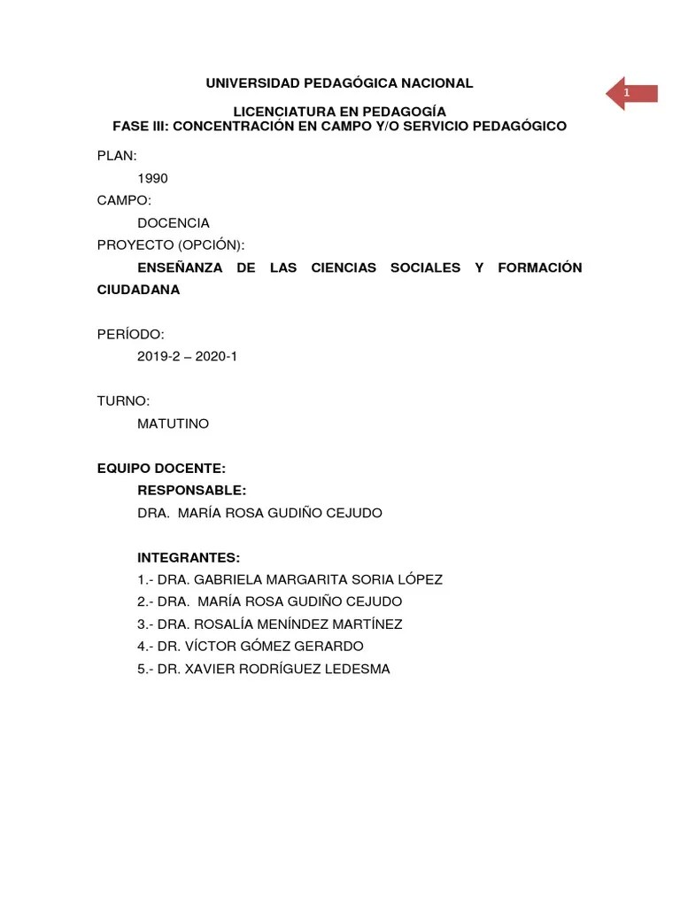 Ensenanza De Las Ciencias Sociales Y Formacion Ciudadana | PDF | Plan ...