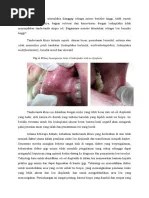 Contoh soal tes tertulis blk menjahit. Kumpulan Contoh Soal Blk Menjahit Pdf