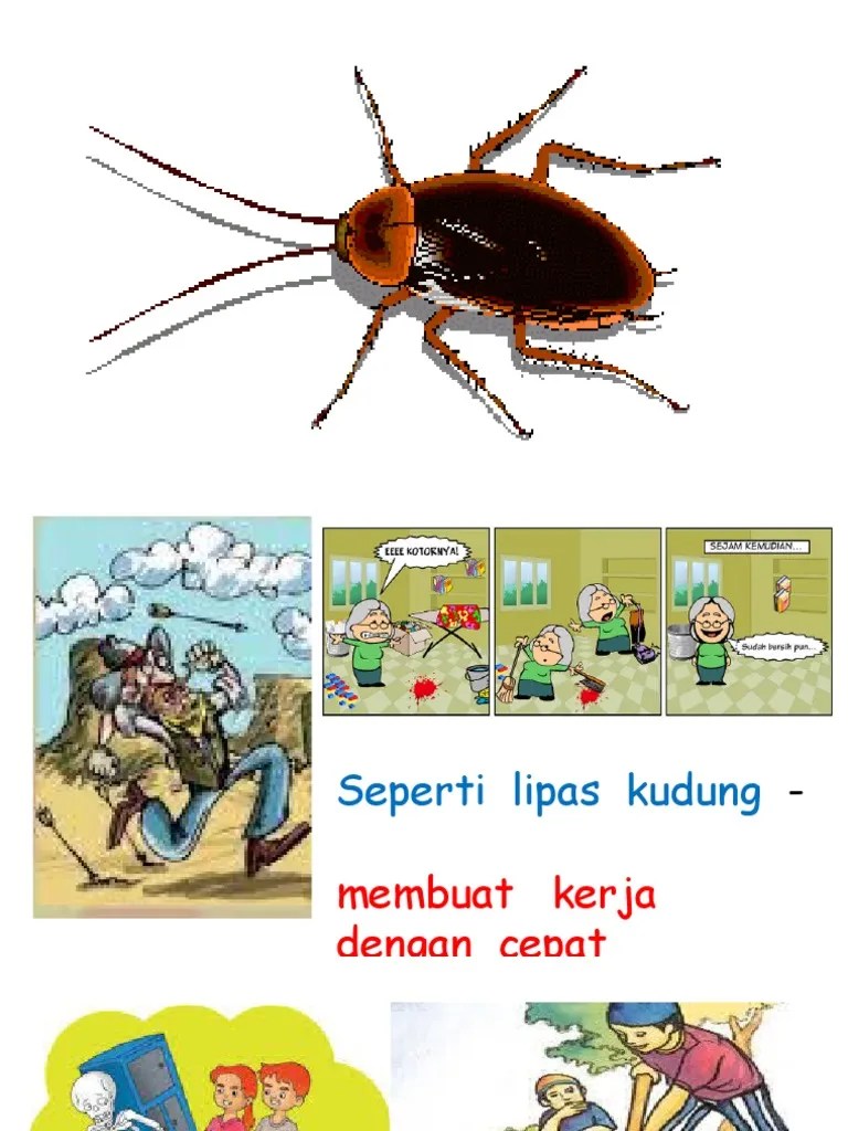 Maksud Peribahasa Lipas Kudung : Bagai Lipas Kudung Bradyxtz