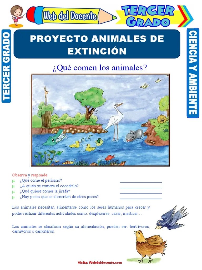 Proyecto Animales De Extinción Para Tercer Grado De Primaria | PDF ...