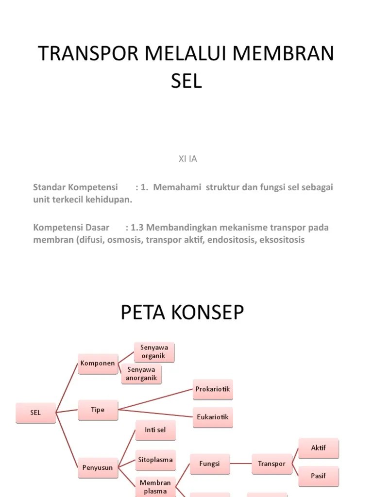 Kumpulan soal pilihan berganda tentang sel dilengkapi dengan kunci jawaban. Transpor Melalui Membran Sel Pdf
