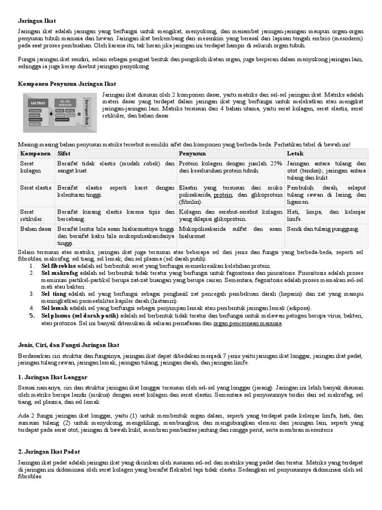 Sel plasma ini berbentuk tidak teratur serta berfungsi melawan patogen. Jaringan Ikat Pdf