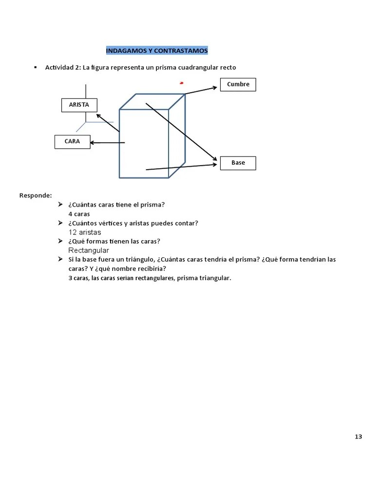 Está conformado por dos caras iguales y . Indagamos Y Contrastamos Pdf