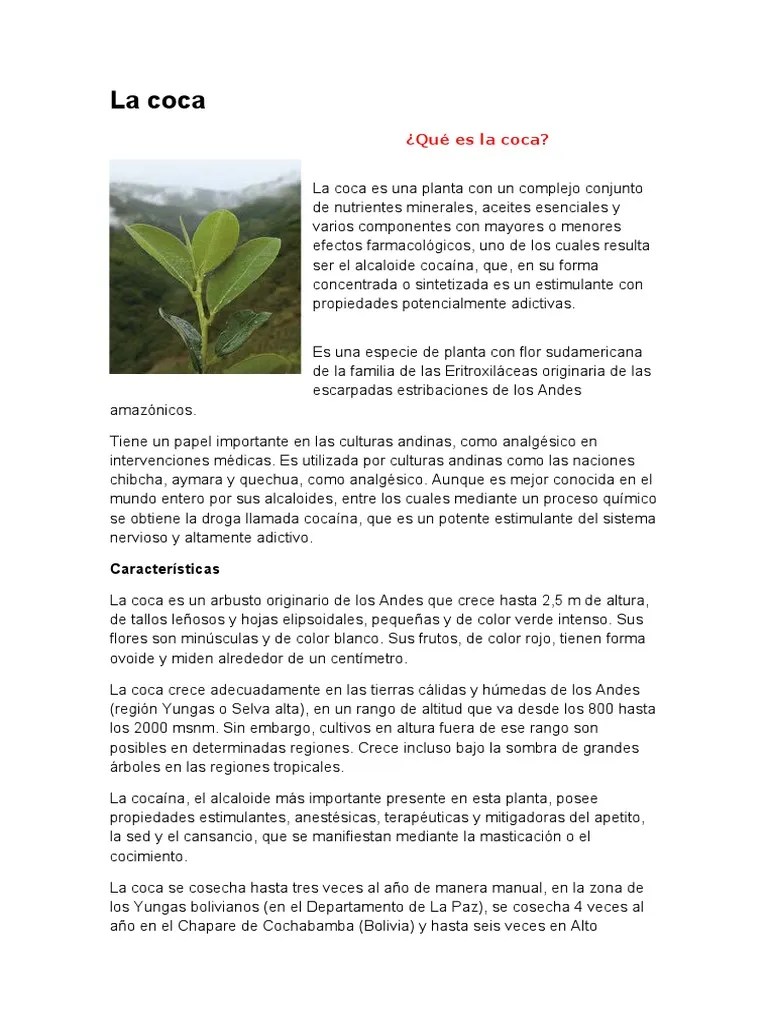 Coca 12 | PDF | Cocaína | Bienestar