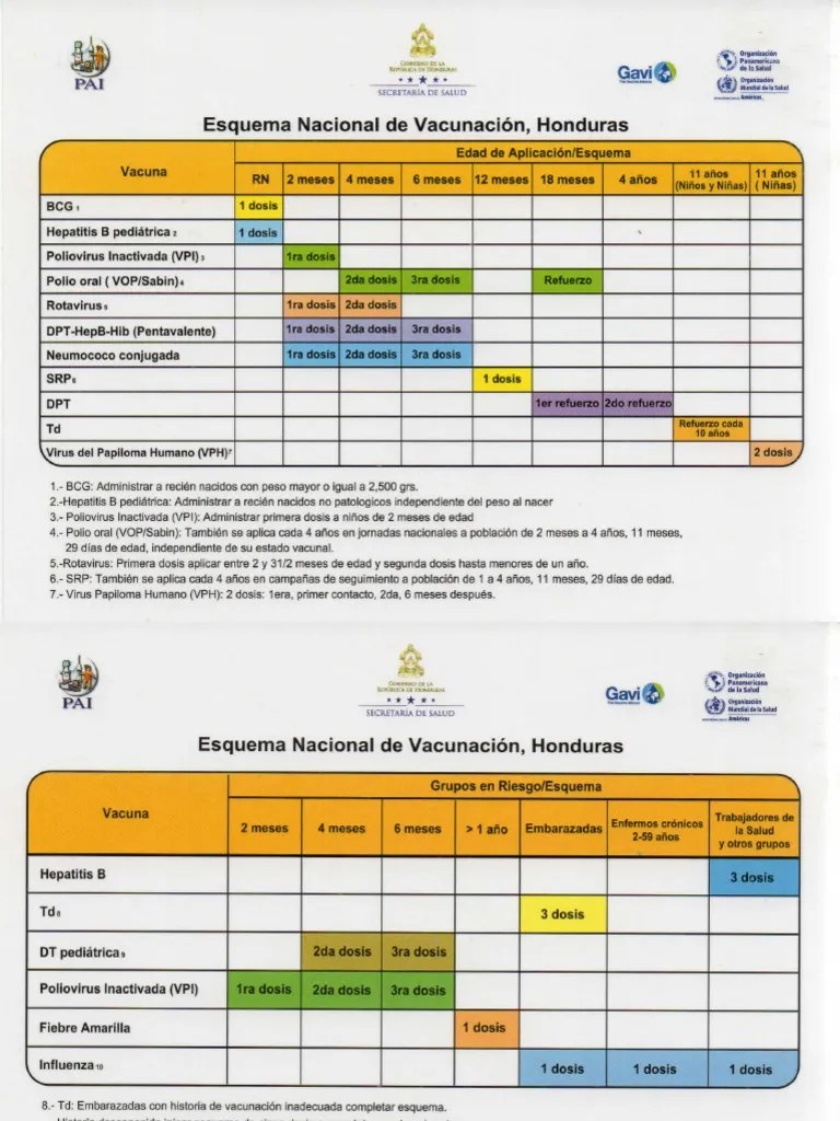 Nuevo Esquema Nacional De Vacunacion PDF | PDF | Microbiología | Epidemiología