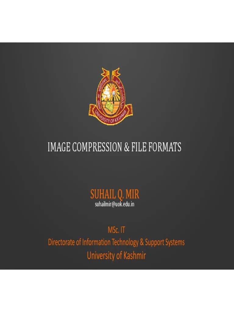 IMAGE Compression& File Formats | PDF | Data Compression | Computer ...