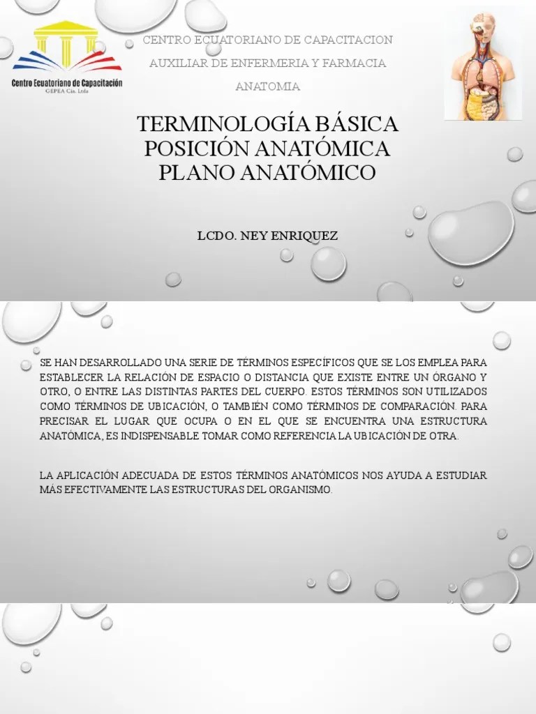 Planos Anatomicos | PDF | Términos Anatómicos De Ubicación | Naturaleza