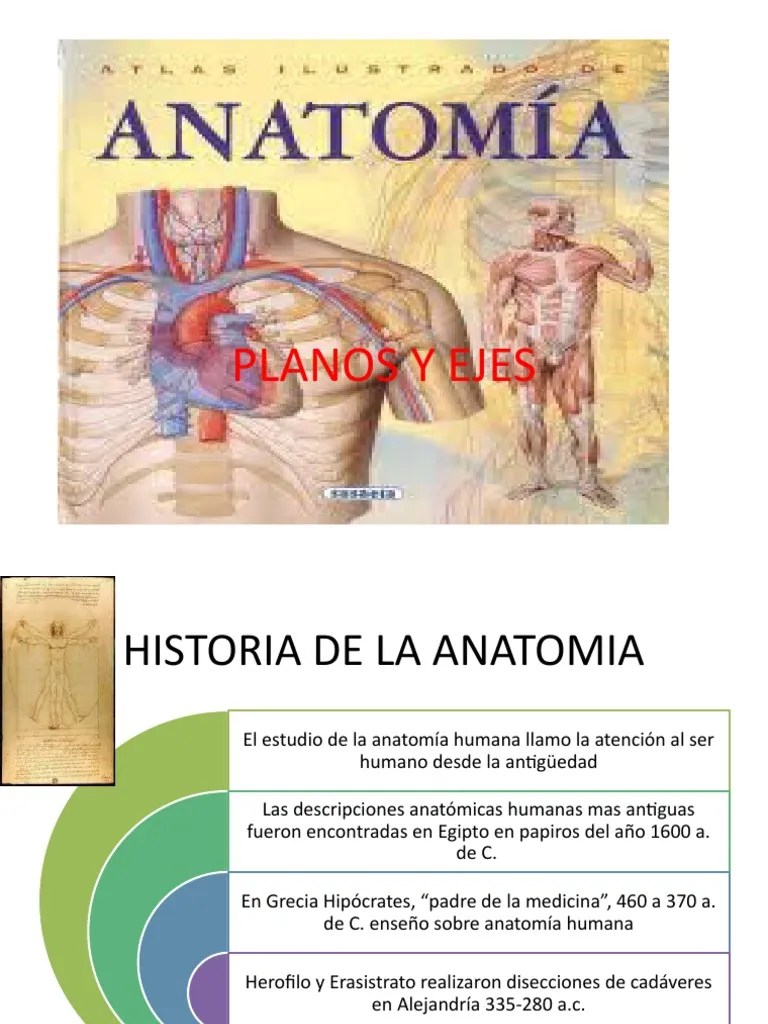 Planos Y Ejes | PDF | Términos Anatómicos De Ubicación | Anatomía