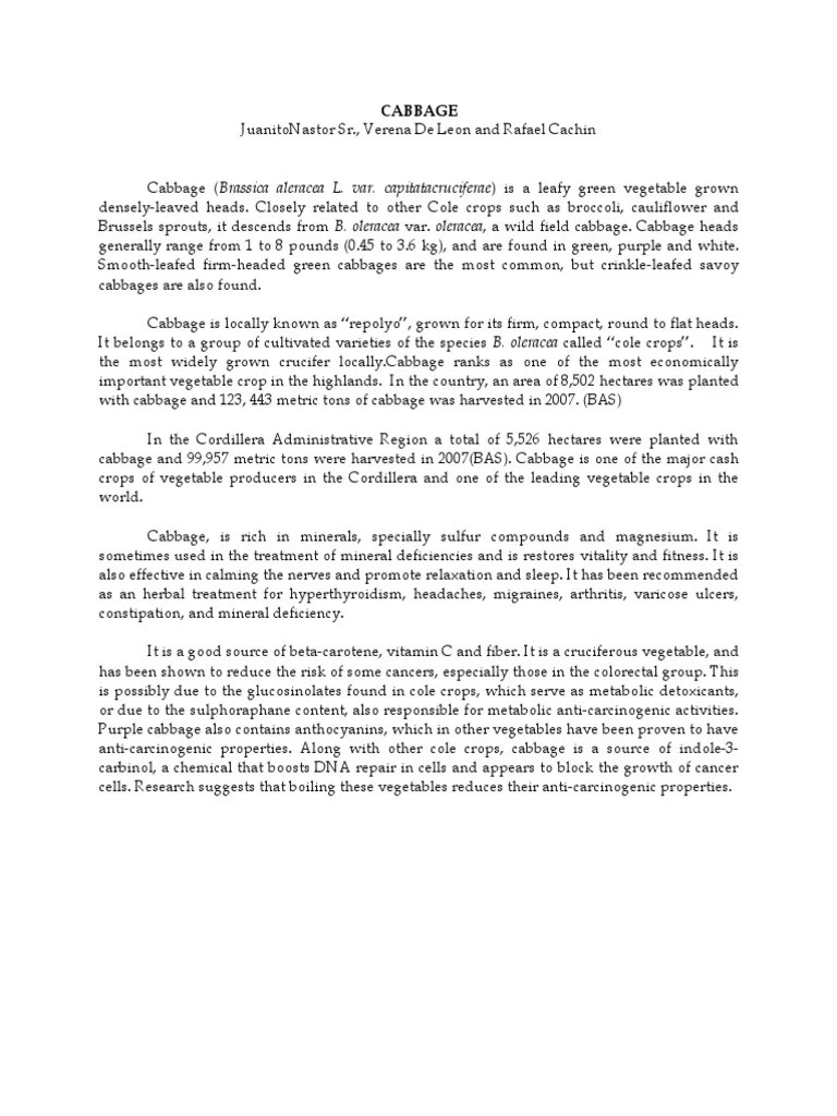 Cabbage Production | PDF | Cabbage | Soil