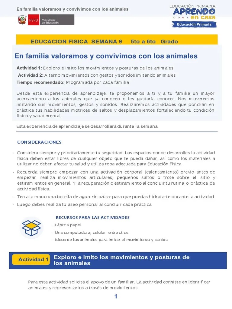 Clase Semana 9 Educacion Fisica | Descargar Gratis PDF | Educación ...