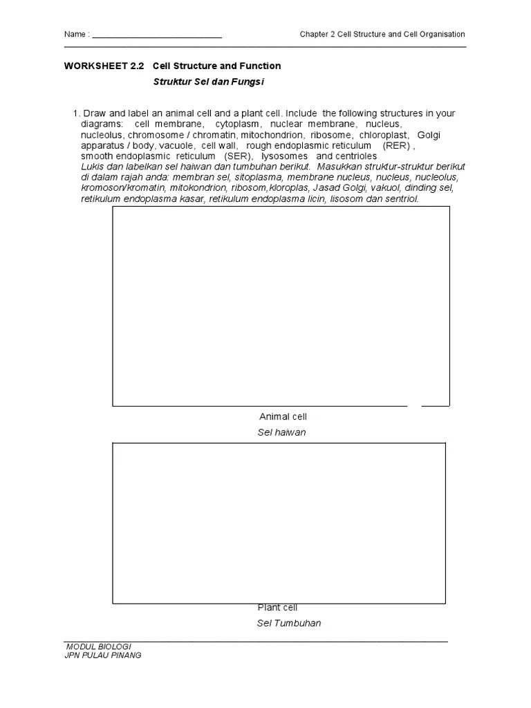 WORKSHEET 2.2 Cell Structure And Function | PDF | Cytoplasm | Cell (Biology)