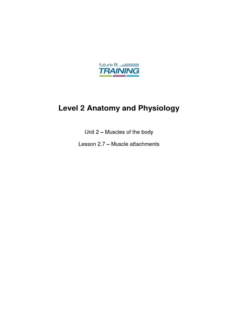 Level 2 Anatomy And Physiology: Unit 2 - Muscles Of The Body Lesson 2.7 - Muscle Attachments ...