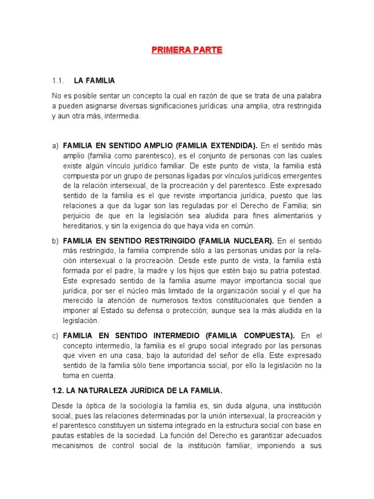 Derecho De Familia Consolidado | PDF | Parentesco | Matrimonio