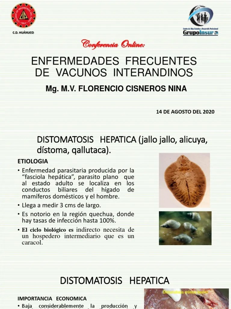 Sanidad Animal. (Enfermedades Frecuentes En Vacunos PDF | PDF | Rabia | Ántrax